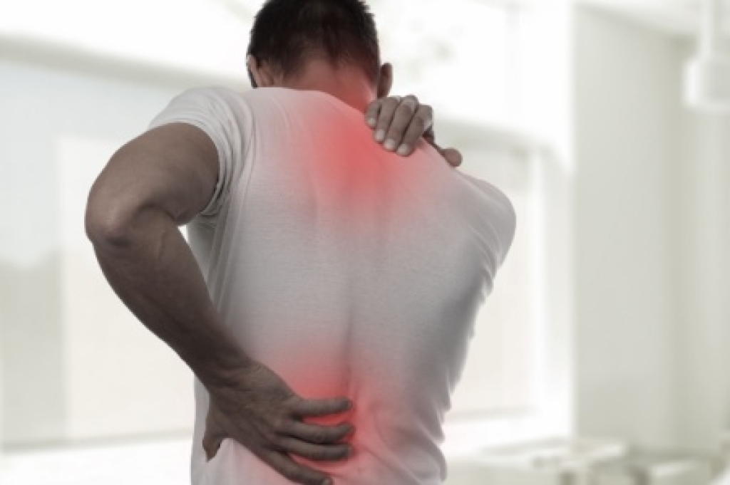 Understanding Muscle Spasms in the Back